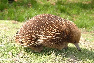 Australien Golfreisen und Golfurlaub